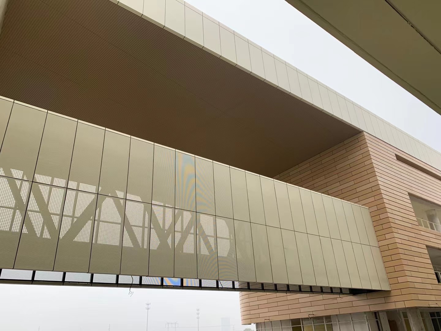 1611629885590931.jpg 598c5ee32517663b56495ce8394edd0.jpg