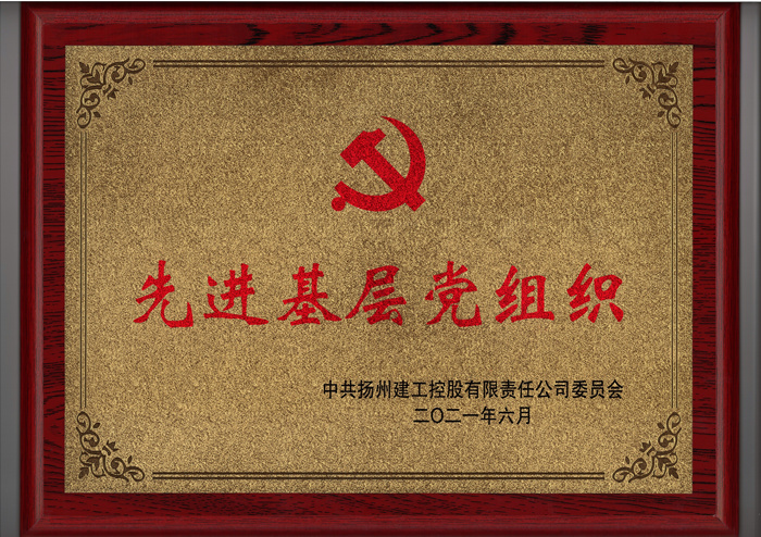21.06先進(jìn)基層黨組織（獎牌）_副本.jpg