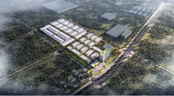 1703120112817502.jpg 1703120105305.jpg